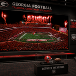 Between the Hedges