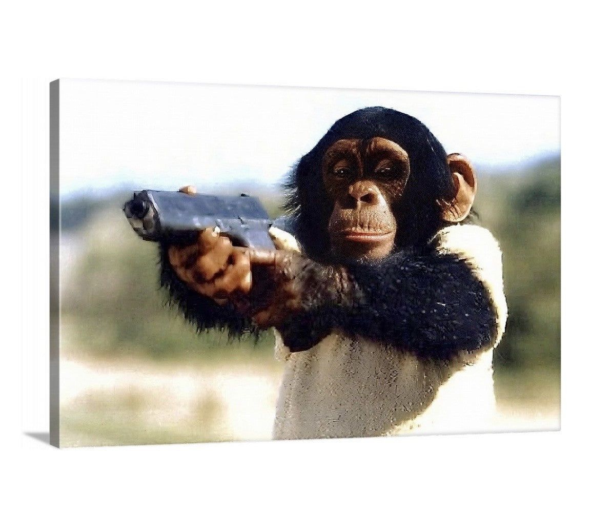 No Monkey Business