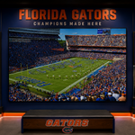 The Swamp