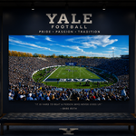 The Yale Bowl