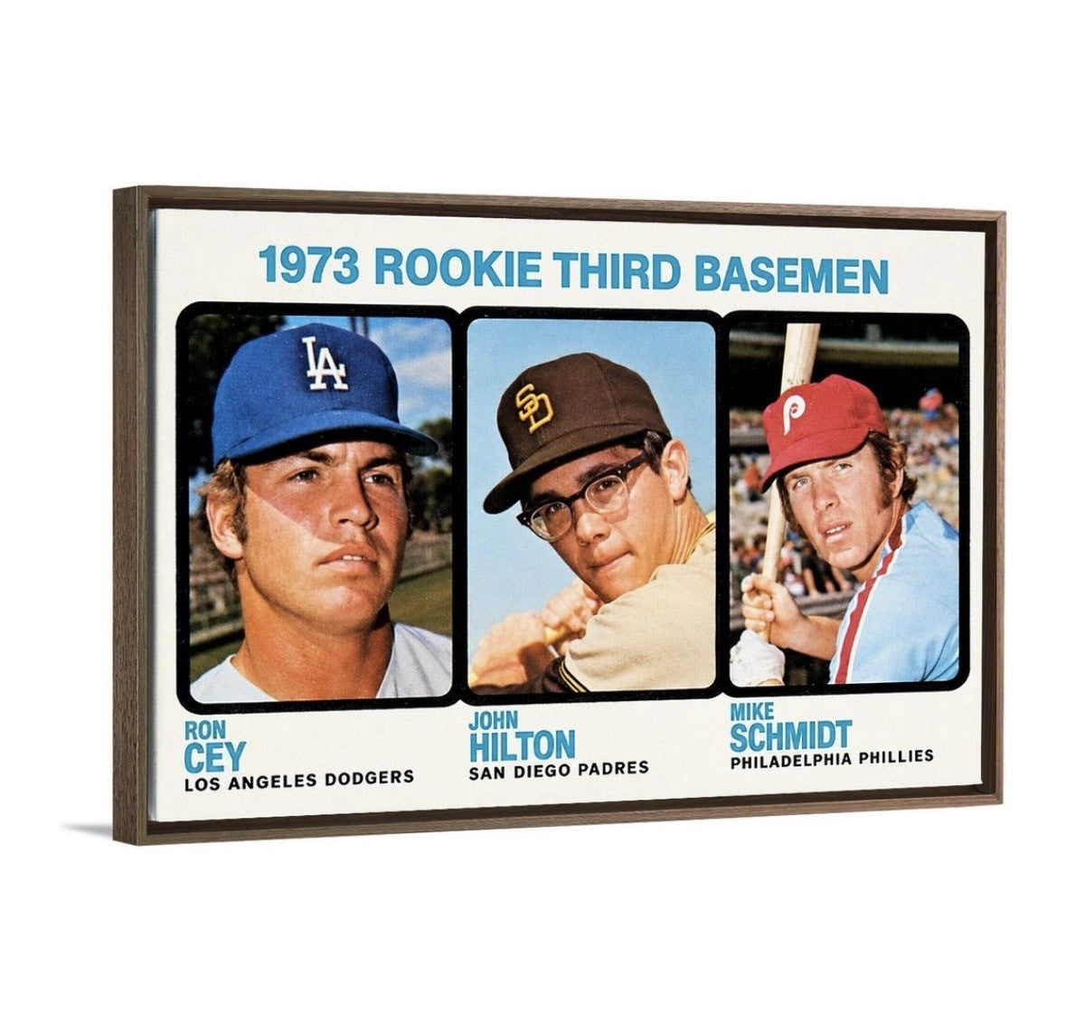 Mike Schmidt '73
