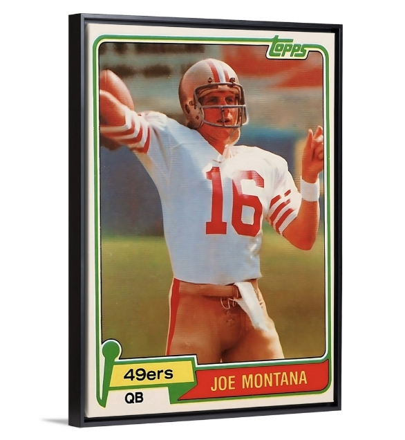 Montana ‘81