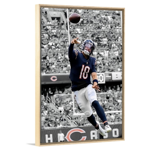 The Bear Cub