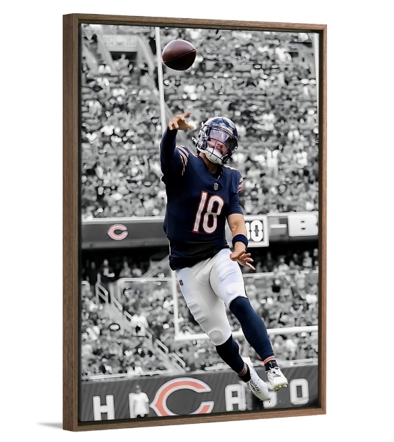The Bear Cub