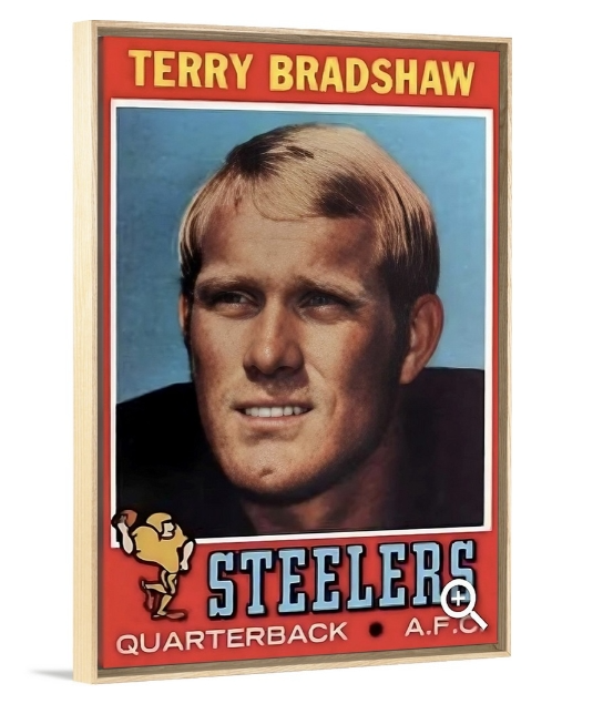 Bradshaw ‘71