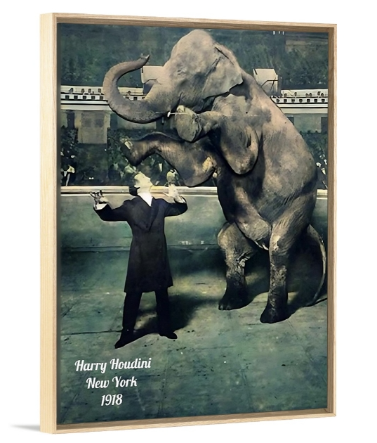 Vanishing Elephant