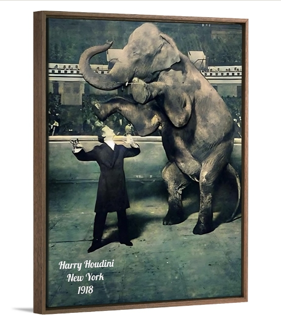 Vanishing Elephant