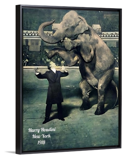 Vanishing Elephant