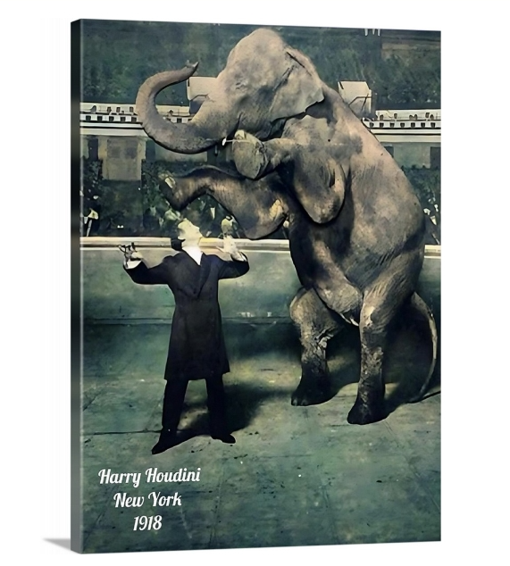 Vanishing Elephant