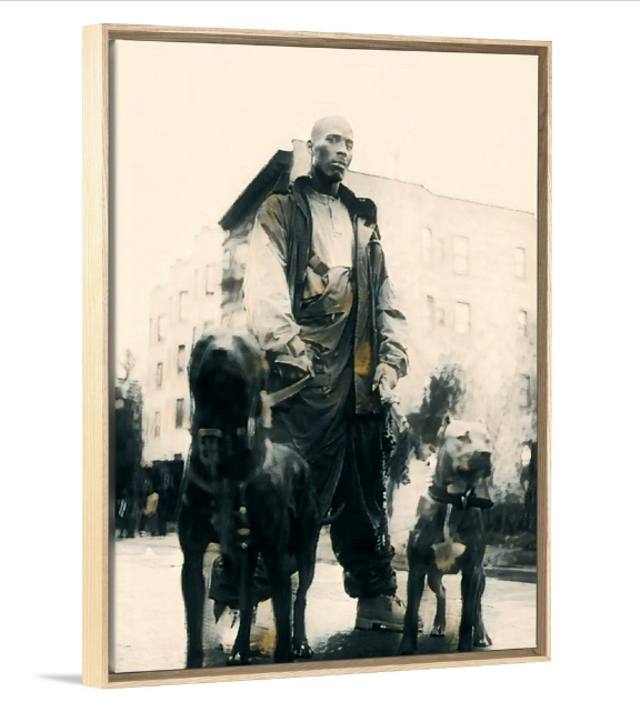 The Dog